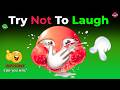 FUNNY VIDEOS 🥳 Try Not To Laugh Challenge (IMPOSSIBLE 🤣) - You Laugh You Lose, Part 110!!