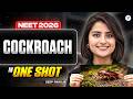 NEET 2026 Biology: Cockroach One Shot | Free Crash Course By Seep Pahuja