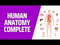 COMPLETE Human Anatomy in 1 Hour! A to Z 3D Human Body Organ Systems