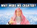 Why did Allah Create us? (The Basics 6)