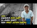 BUDIDAYA IKAN GUPPY DI LAHAN SEMPIT RAIH OMSET JUTAAN RUPIAH
