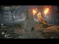 Elden Ring: Erdtree Burial Watchdog Duo (Hitless, Parry Only)