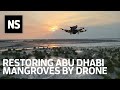 How drone technology is helping plant 100 million mangrove trees in the UAE by 2030