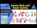 Human Body and Organ System | Std 8 | Science | Ch.11 | Maharashtra State Board