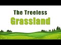 The treeless Grasslands l Prairies l Class 5 Social Science