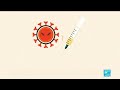 Explainer: How the new Covid-19 vaccines work