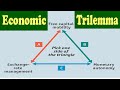 What is Economic Trillema Explained with Examples , Indian Economy, UPSC