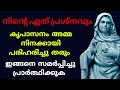 നിൻറെ ഏത് പ്രശ്നത്തിനും അമ്മ പരിഹാരം നൽകും 🙏 #kripasanam #kreupasanam #കൃപാസനം