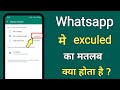 What does excluded mean in WhatsApp?