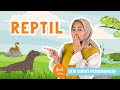 REPTIL | Mengenal Jenis Reptil sambil Bermain, Bernyanyi, dan Berkegiatan Seru!