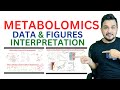 A bioinformatics guide to Metabolomics Data analysis interpretation