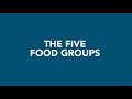Exploring the Five Food Groups