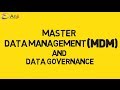 Master Data Management and Governance
