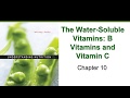 The Water Soluble Vitamins (Chapter 10)