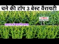 Chane ki top 3 Best variety | चने की बेस्ट वैरायटी | chickpea variety | chana ki kheti kab kare