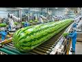 Inside a Modern Watermelon Processing Plant | Full Factory Process From Fruit to Juice Production