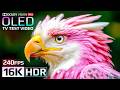 Stunning World in 16K HDR 240fps | Dolby Vision OLED (8K/4K TV Test)