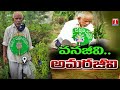 Special Story On Renowned Green warrior Vanajeevi Ramaiah | T News