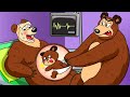 Female Bear is Pregnant! BUT , WHO is BABY ? | Bear's Life Story | Bear Funny Animation