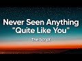 The Script - Never Seen Anything \