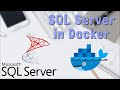SQL Server in Docker Container