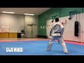 Saju-Jirugi / Saju-Makgi | Fundamental exercices for white belt - ITF Taekwon-Do