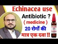 echinacea angustifolia | echinacea mother tincture | echinacea uses \u0026 symptoms / antibiotic ??