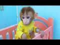Macaco Bon Bon e a jornada cheia de reviravoltas com o hambúrguer do destino | BONBON BRAZIL