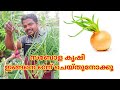 സവാള കൃഷി ഈ രീതിയിൽ ഒന്നു കൃഷി ചെയ്തു നോക്കൂ