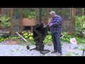 Wiseway Pellet Stoves Demonstration Full Version