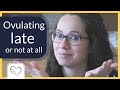 Why you are ovulating late (or not at all) | Viewer's question!