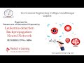Leukemia detection using Backpropagation Neural Network | GCE Gandhinagar,Gujarat | Pantech Webinar