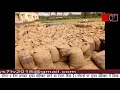 16 MAY 2018 News7Tv-  गेहूं क्रय केंद्र पर सैकड़ों कुंतल गेहूं बारिश में भीगा