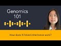 Nicole Chai: How does X-linked inheritance work?