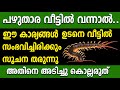 ശത്രു ദോഷം കടുക്കും ഈ 5 കാര്യങ്ങൾ ഉടനെ നടക്കും,centipede,astrology
