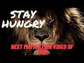 STAY HUNGRY  2021 Best Motivation For Success Speech