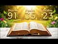 Psalm 91, Psalm 23, Psalm 35 - 3 Most Powerful prayers in the Bible