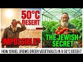 How Israel Grows Green Vegetables in a 50°C Desert: The Secret of Jewish Intellect