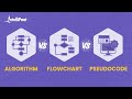 Algorithm Vs Flowchart Vs Pseudocode | Difference Between Algorithm And Flowchart | Intellipaat