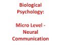 Biological Psychology: Micro Level - Neural Communication