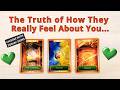 💋HOW DO THEY REALLY FEEL? 🌹PICK A CARD 💘 LOVE TAROT READING 🌺 TWIN FLAMES 🌈 SOULMATES