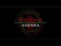Glen Ford and The Black Agenda - LDI