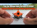 Tiny, Fun, Whisper Quiet Sub100G FPV Drone! | Flywoo Firefly 1S Nano Baby Quad Review!