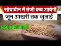11 Jun 2023 आज सोयाबीन में भारी तेजी, Soyabean ka bhav, Soya ka rate,Soyabean mandi bhav aaj ka bhav