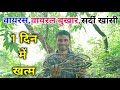 This wild village herb boosts our immunity. Shyamji Vlogs