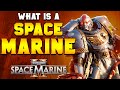 SPACE MARINES EXPLAINED IN 20 MINUTES | Warhammer 40,000 Lore