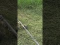 DIY UKSA 345