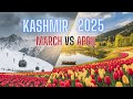 Kashmir in March April 2025 Travel Guide Snow, Tulips, \u0026 Gondola Booking Tips!