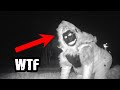 Trail Cam Captures What No One Was Supposed to See | Part 3