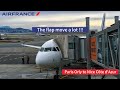 ✈️ Trip Report | Air France A320 | Paris Orly (ORY) → Nice Côte d'Azur (NCE) | The flap move a lot !